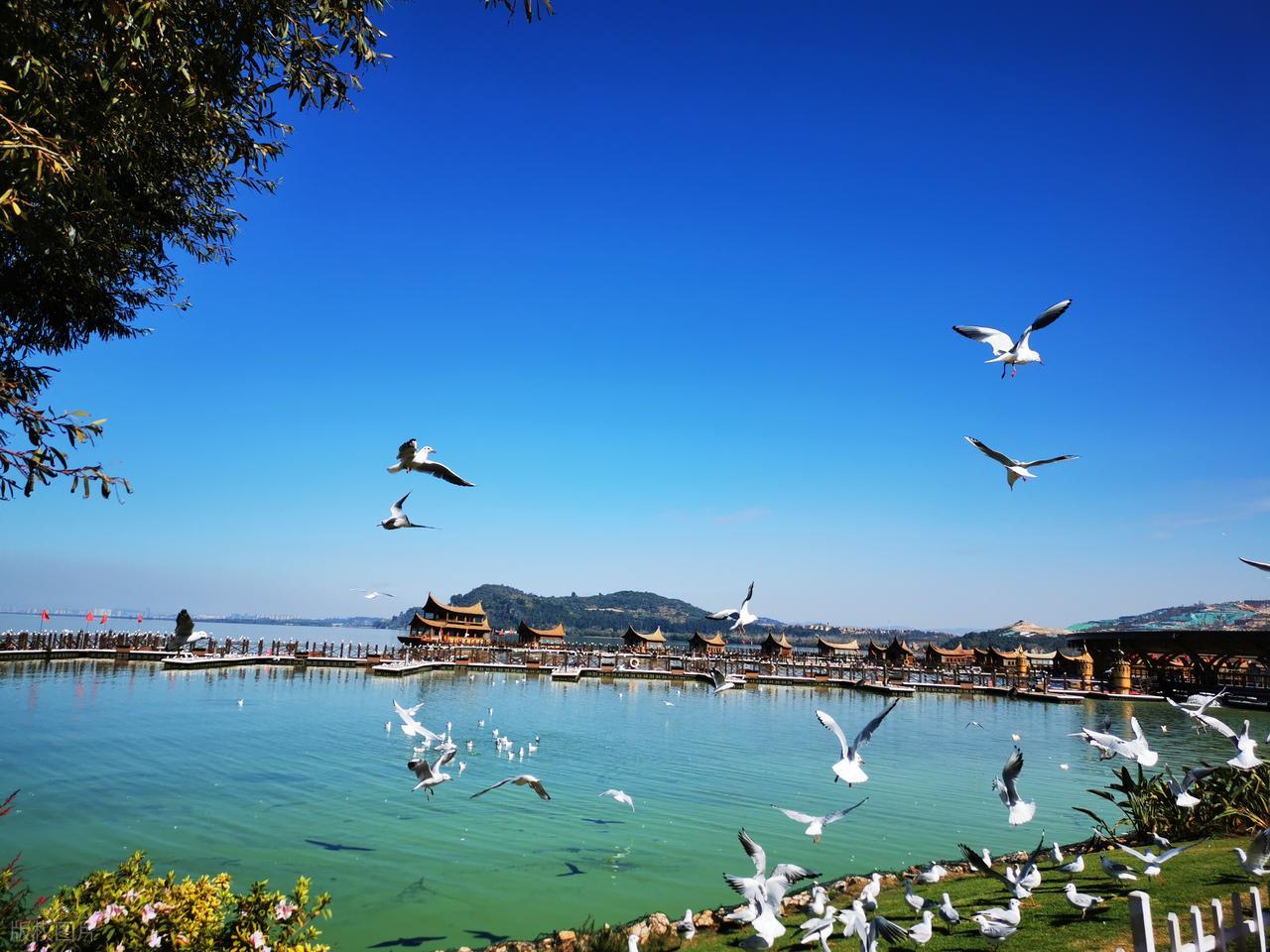 昆明大理丽江泸沽湖 5 晚 6 日游 ——2-6 人轻奢小团