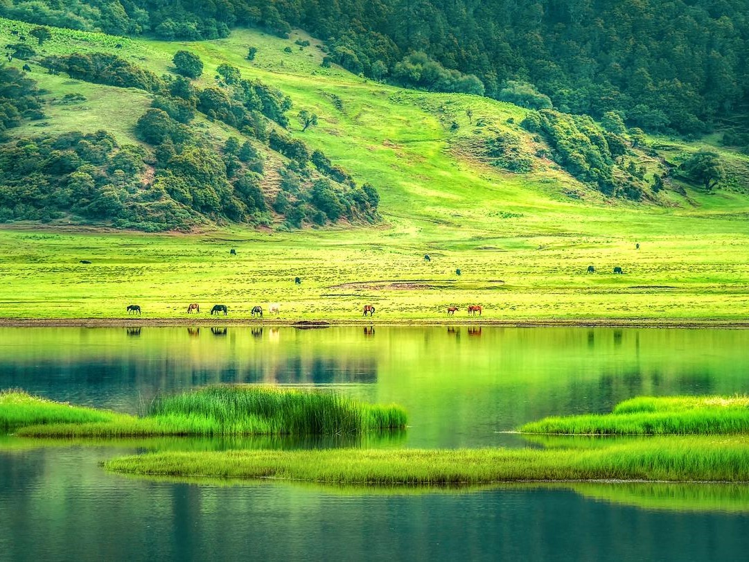 昆明大理丽江泸沽湖香格里拉 10 日游 —— 纯玩无购物（4-5 钻酒店）