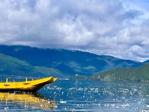 云南纯玩国际旅行社4-8人小包云南纯玩团开启暑期中程新趋势