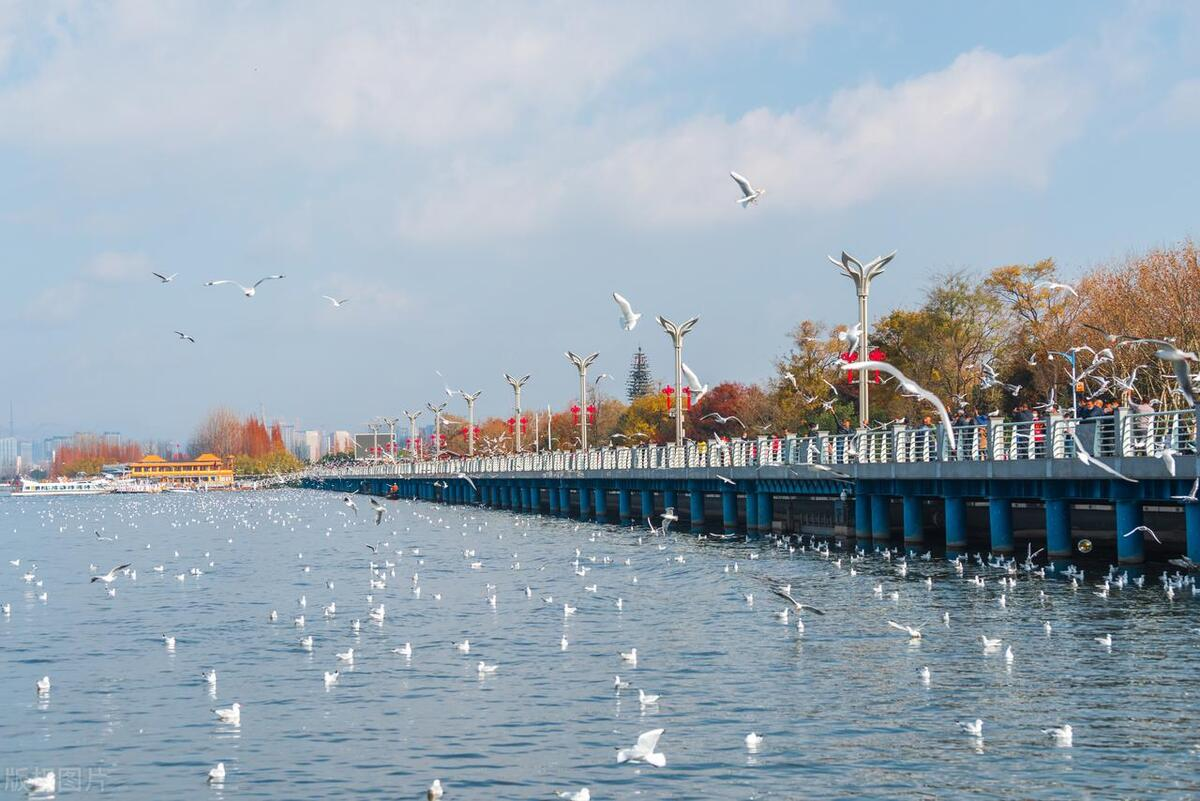 云南有哪些值得去了再去的城市？历史+美食+风景全包的15个城市！